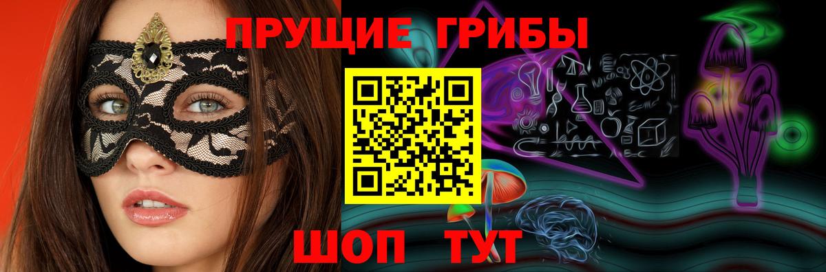 Сунжа  Псилоцибиновые грибы прущие грибы  Псилоцибиновые грибы Magic Shrooms  Вход с VPN 