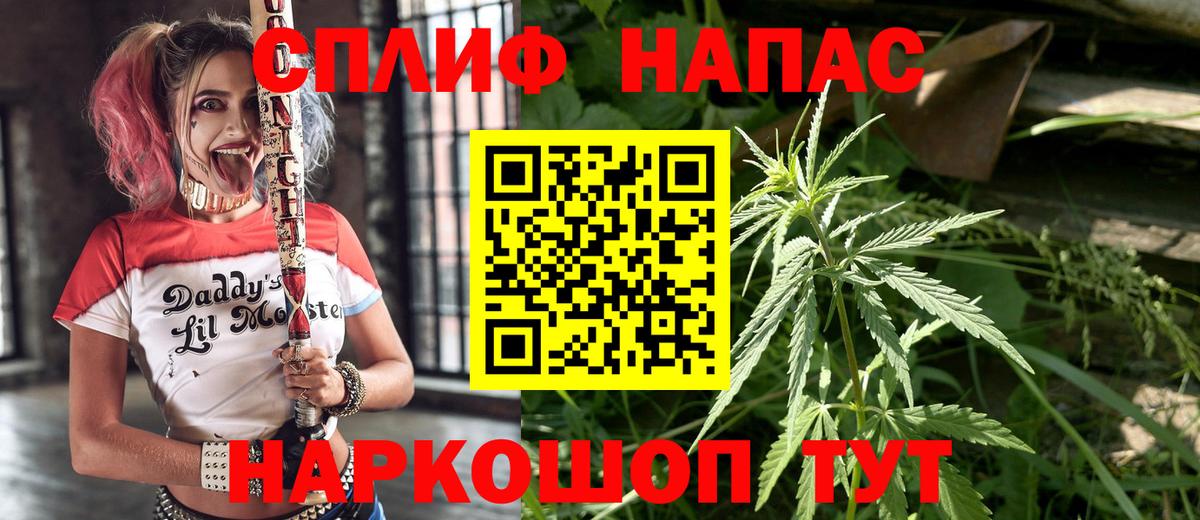 Конопля марихуана Сунжа